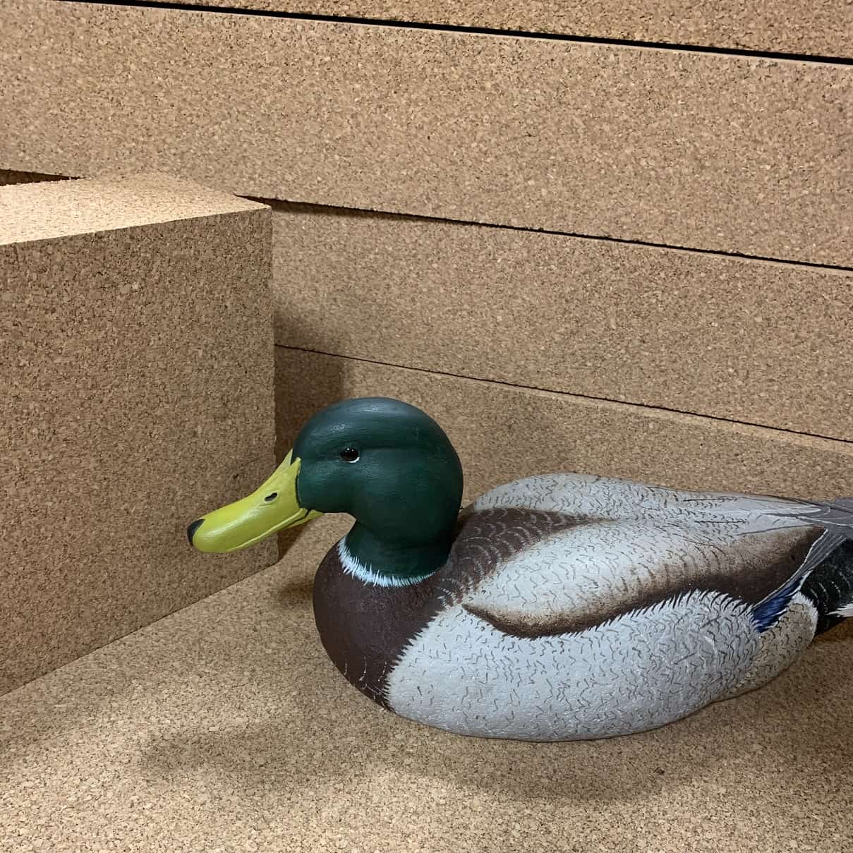 Yoga Blocks and Carving Blocks