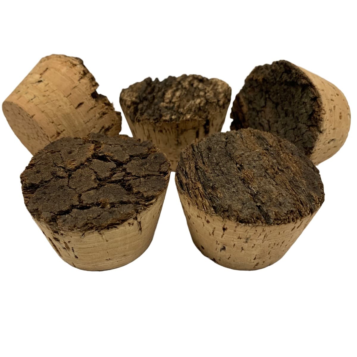Five natural cork plugs in solid cork of varying sizes and textures, showing both the dark brown, rough texture outer cork and the light tan, smooth inner cork