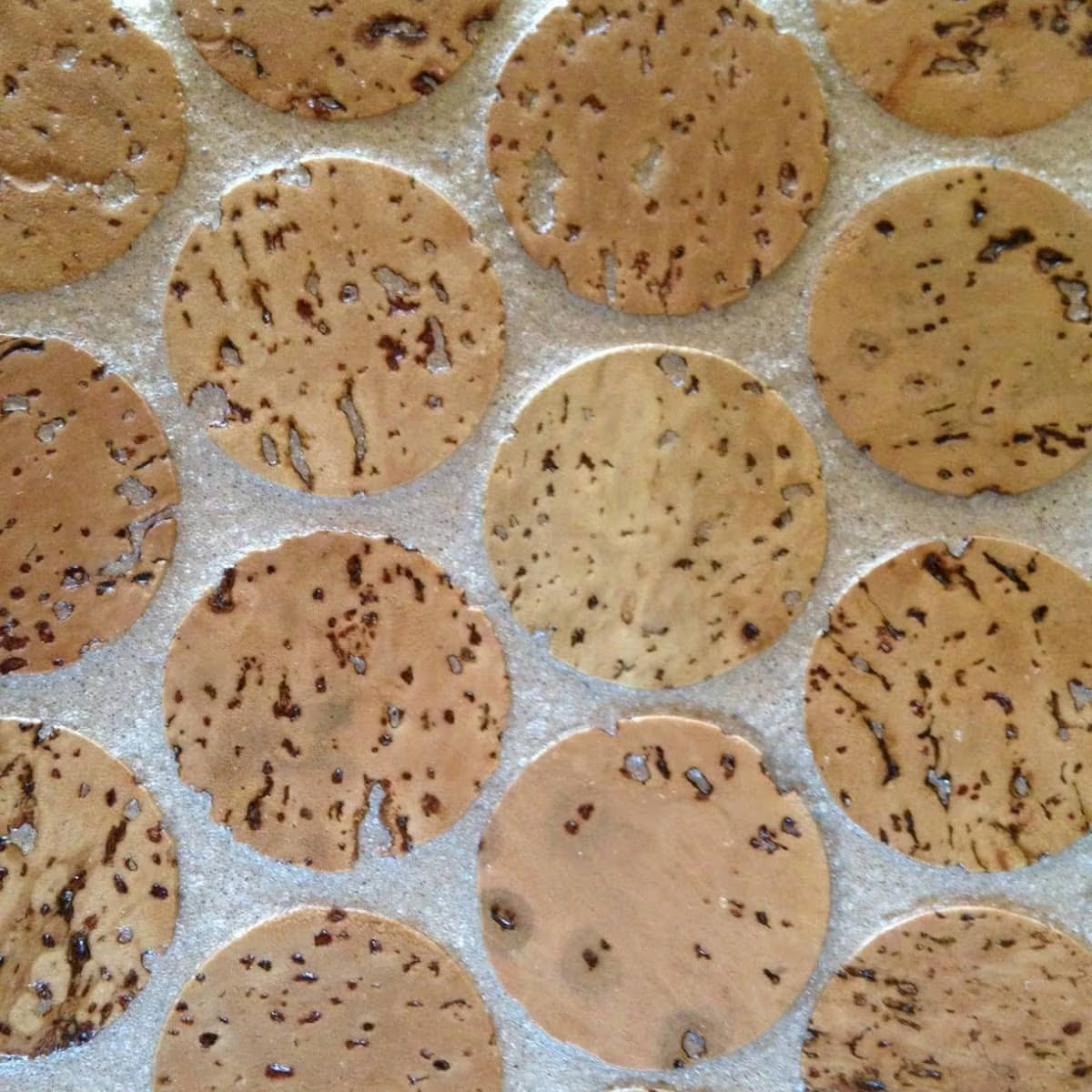 Close-up of mosaic Cork flooring showing the round Cork discs with white grout