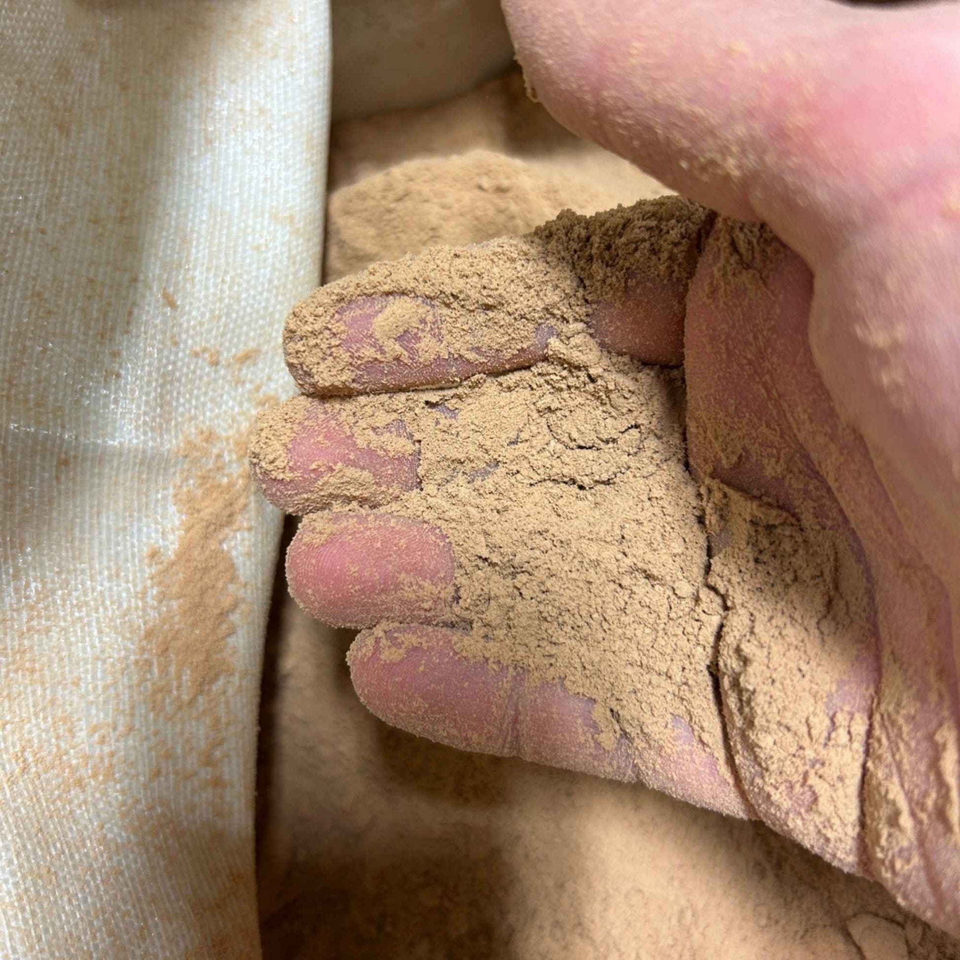 A close-up of very fine cork powder in a hand to show granule size.