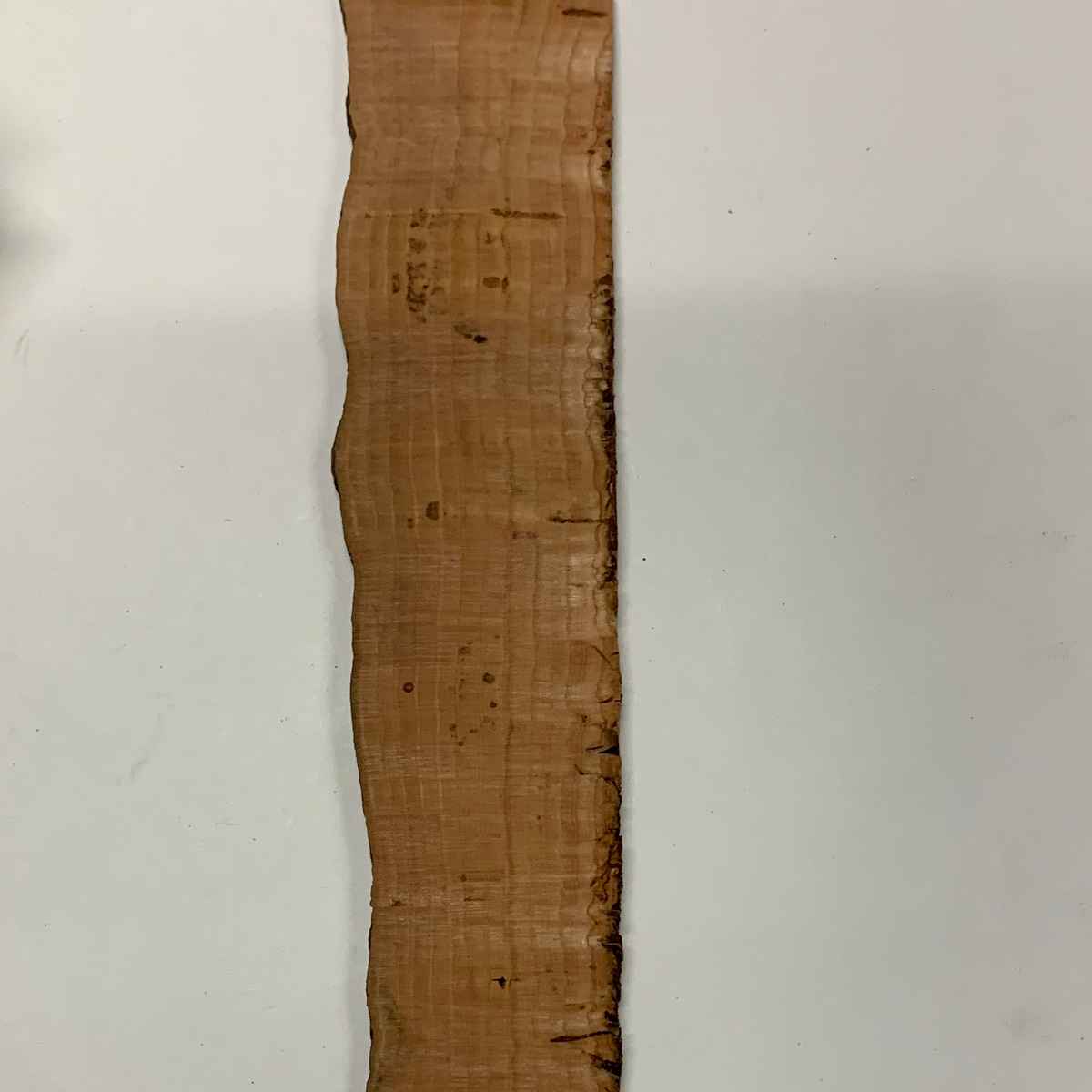 Optical Cork | 1/16in thickness | Linear Inch