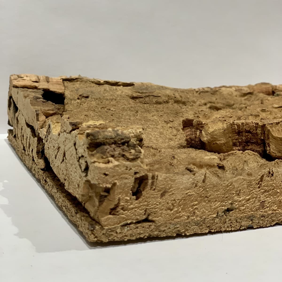 Close-up angle view of an Arizona cork wall tile on a white background 