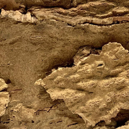Close-up of textured Arizona cork wall tile surface with natural bark pattern