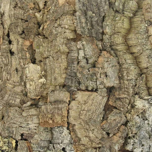 Colorado Cork Wall Tiles - Carton of 2 Tiles (1.94 sqft)